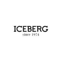 Iceberg