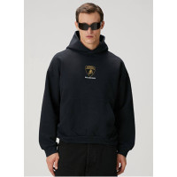Мужской худи Balenciaga 25-86