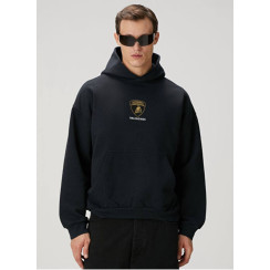 Мужской худи Balenciaga 25-86