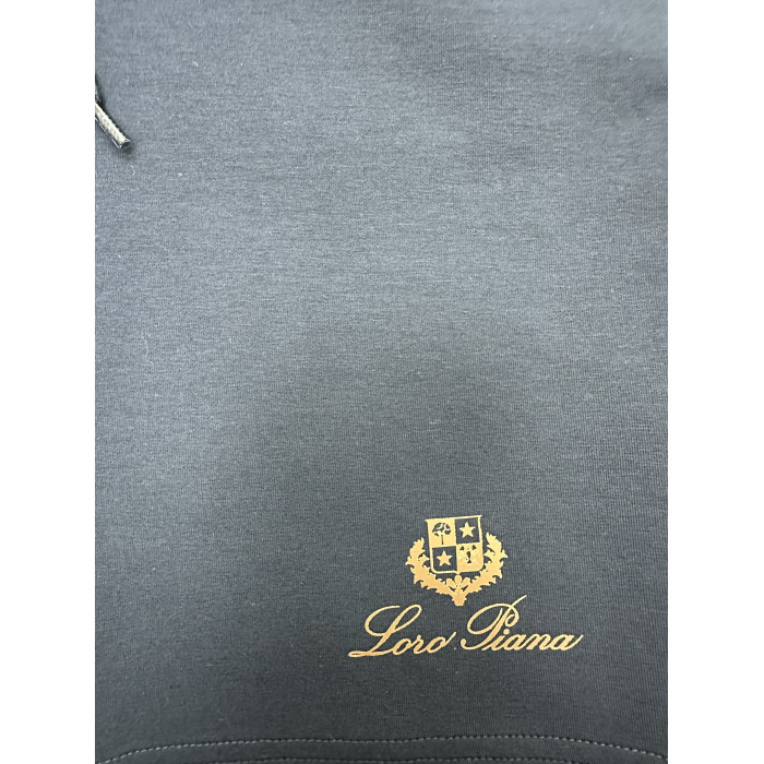 Мужские шорты Loro Piana синие 25-1015