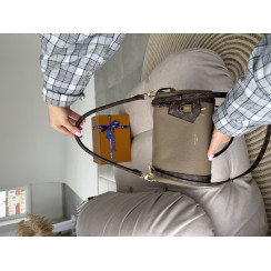 Жіноча сумка Louis Vuitton Express PM Brown Premium
