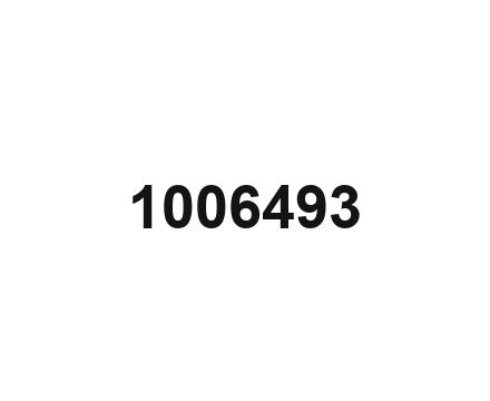 1006493 (1)