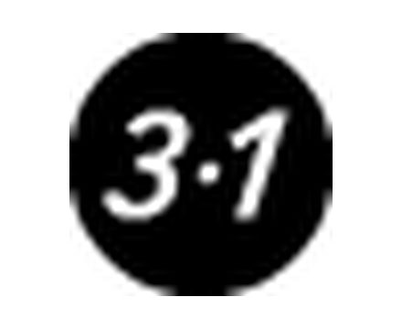 3.1 (2)