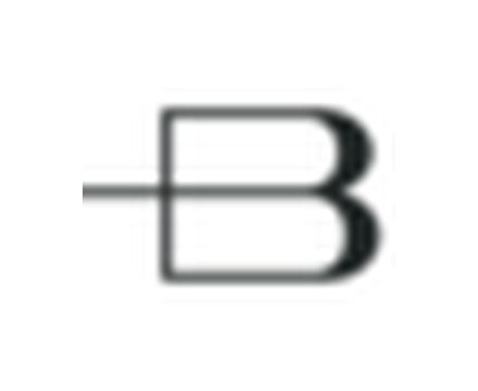 Baldinini (5)