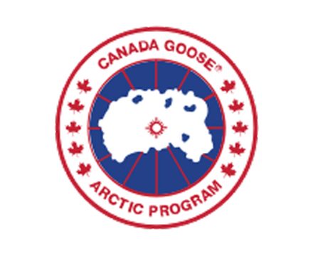 Canada Goose (7)