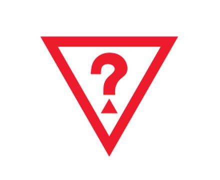 Guess (11)