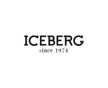Iceberg (23)